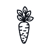 Carrot